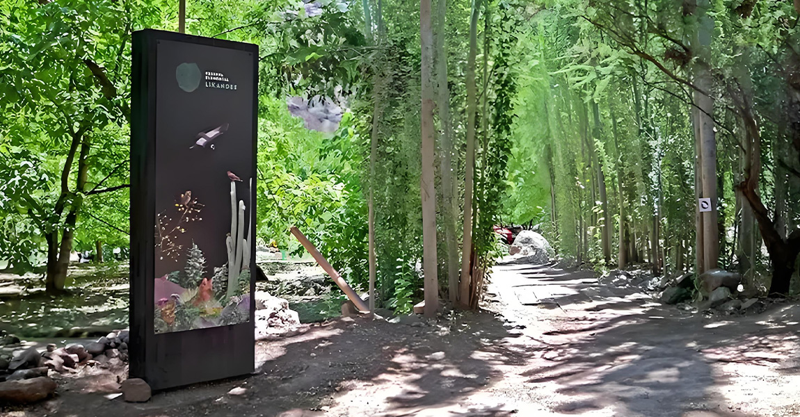 Use sunlight-readable digital signage in parks to enrich visitor play space