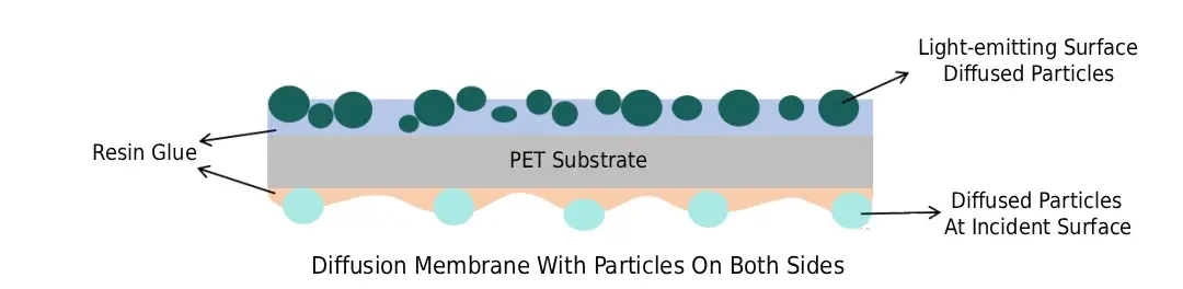 Diagram of a diffusion film structure with particles on both sides