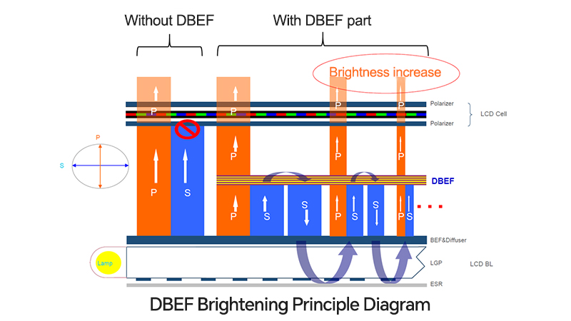 Schematic diagram of DBEF brightening principle